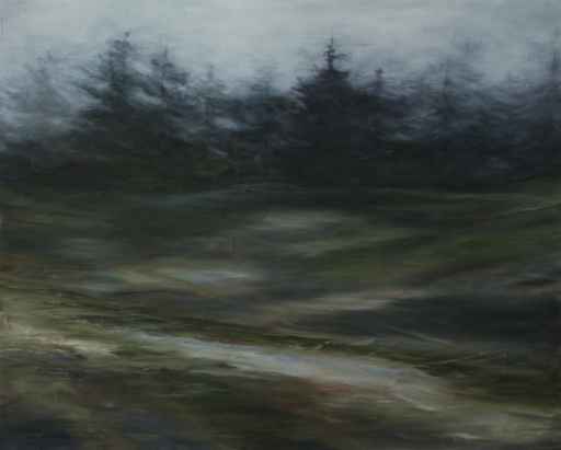 Fog in Ucluelet